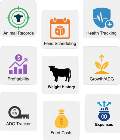 All-in-one cattle fattening management tools